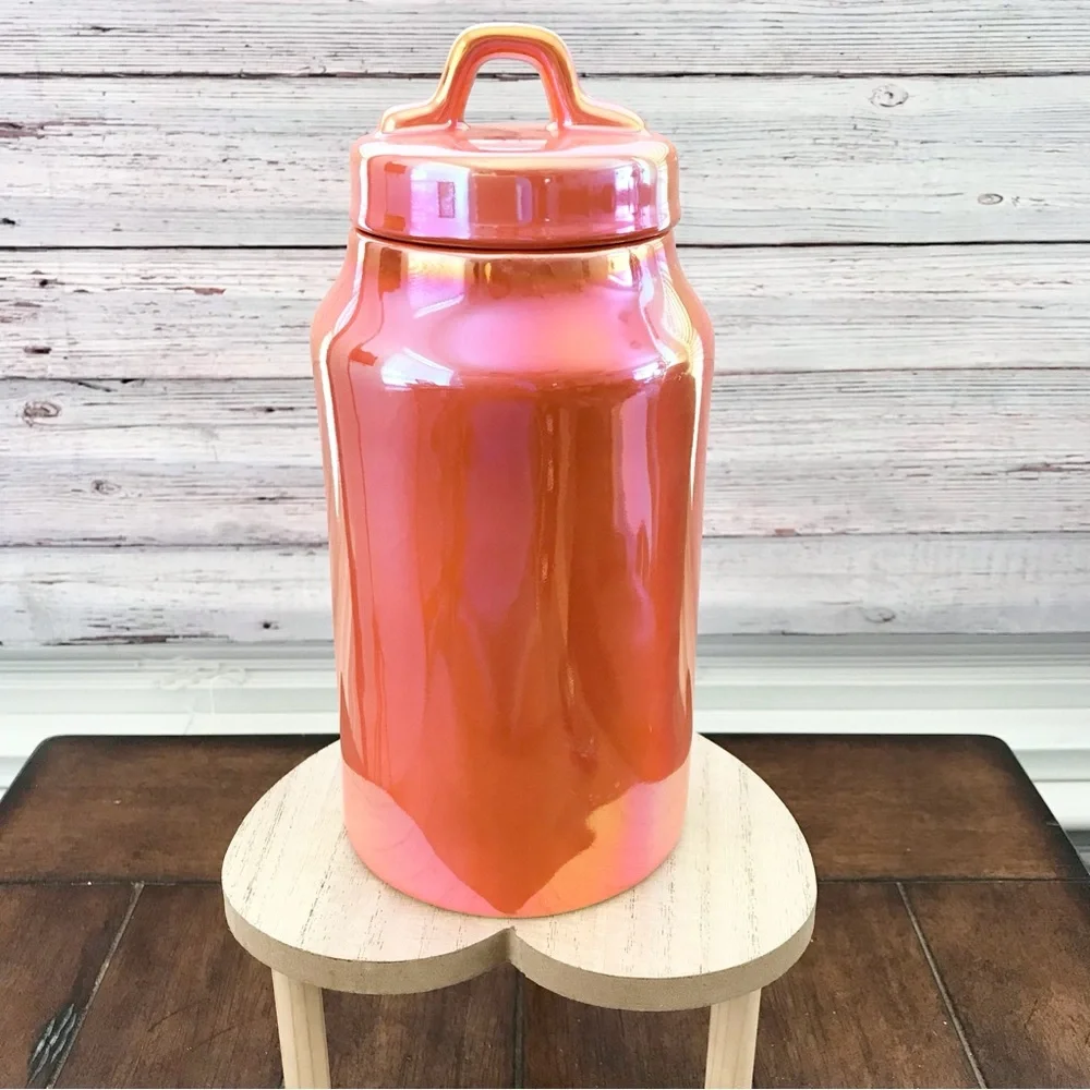 🆕Bugs and Hisses Decorative Canister